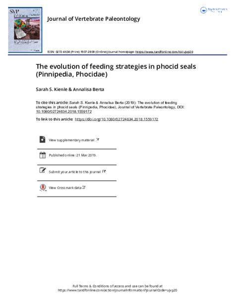 The evolution of feeding strategies in phocid seals (Pinnipedia ...