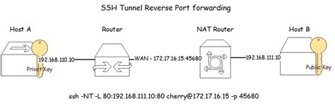 The explanation of port forwarding and reverse tunnel