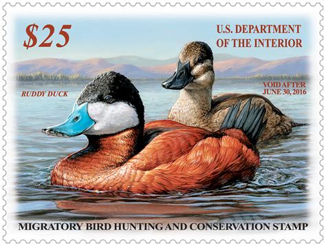 The federal duck stamps a complete guide. - Finding your voice a step by step guide for actors nick hern book.
