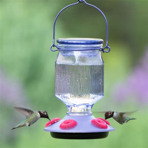 The feeder. Feb 9, 2024 · Feeders in the mid-size range of 16 to 32 ounces can store nectar for several days and serve multiple birds—the More Birds Vintage Hummingbird Feeder (our best glass pick) is a great example of this size, while our best decorative option, the Lujii Hummingbird Feeder, has the largest capacity on our list at 20 ounces. 