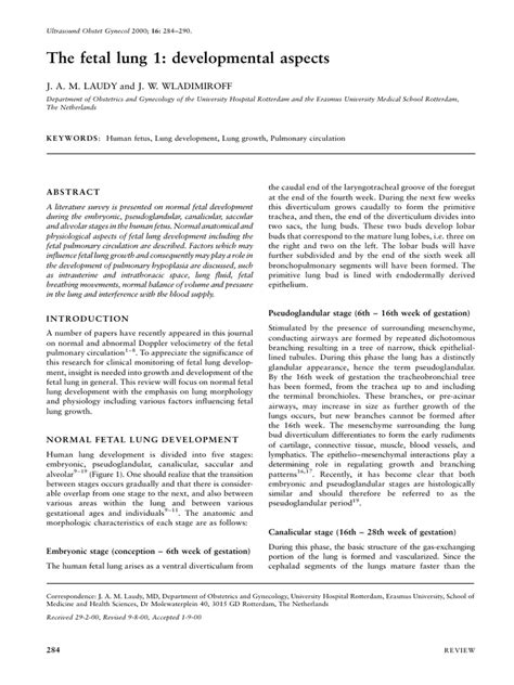 The fetal lung. 1: Developmental aspects - PubMed