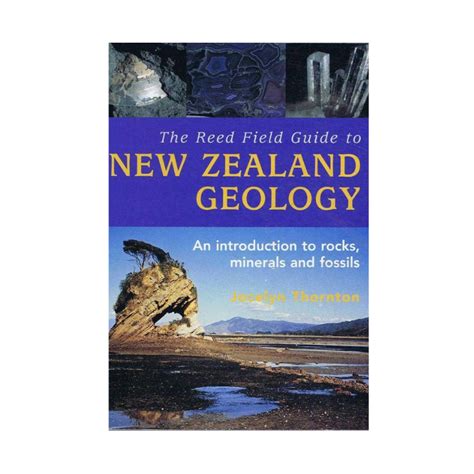 The field guide to new zealand geology an introduction to rocks minerals and fossils. - Konica minolta magicolor 2400w 2430dl 2450 service repair manual.