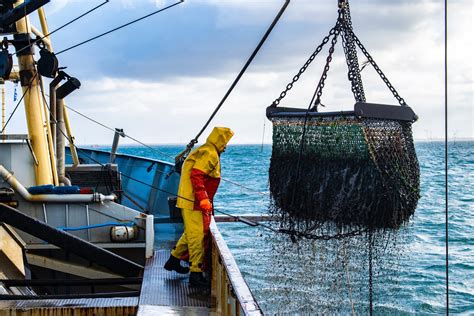 The fisheries. Abstract. This article examines how technological advancements have revolutionized fisheries management. It showcases breakthroughs in aquaculture and developments in robotics, autonomous systems ... 