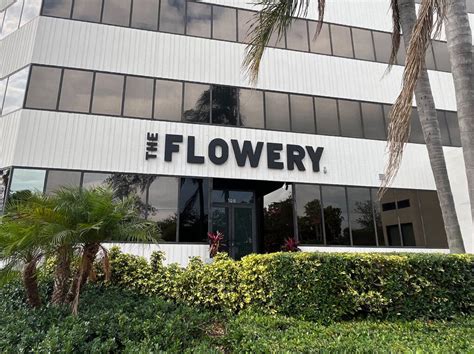 The flowery. Read reviews of The Flowery - Miami at Leafly. Leafly. Shop legal, local weed. Open. advertise on Leafly. Locating... change. Delivery Dispensaries Deals Strains Brands Products CBD Doctors ... 