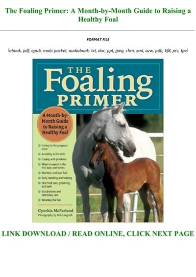 The foaling primer a month by month guide to raising a healthy foal. - A practical guide to the system usability scale background benchmarks best practices.