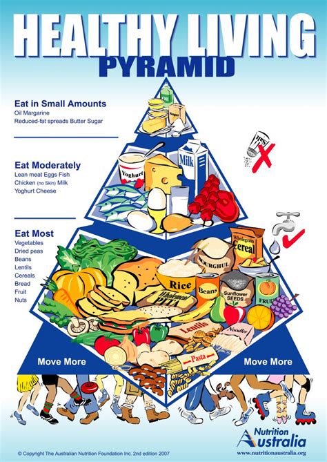 The food guide pyramid advises a person to eat more. - Sirona orthophos 3 1996 technical manual.