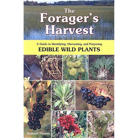 The forager s harvest a guide to identifying harvesting and preparing edible wild plants. - Miami dade county calculus pacing guide.