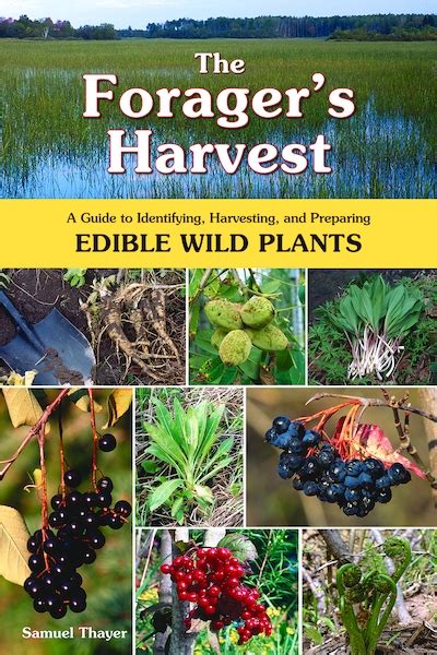 The foragers harvest a guide to identifying harvesting and preparing edible wild plants samuel thayer. - Memoria sobre a avaliação dos bens de prazo.