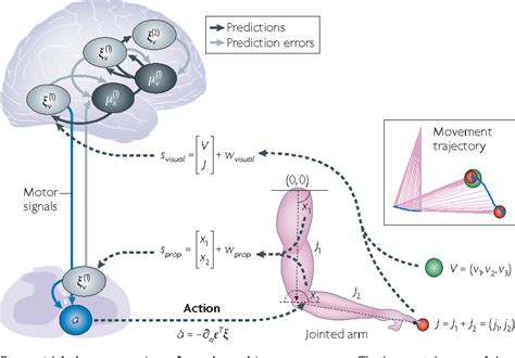 The free-energy principle: a unified brain theory? - Nature