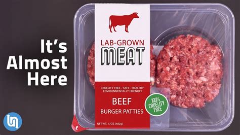 The future of meat is lab-grown