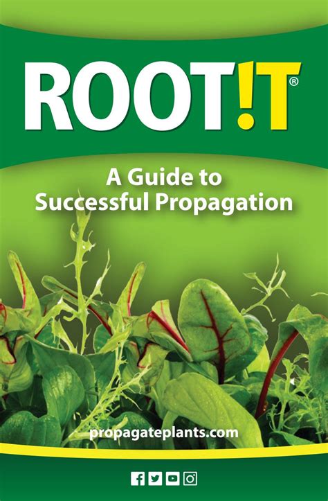 The gardening from which guide to successful propagation which books. - Manuali di istruzioni per griglie weber.