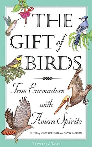The gift of birds true encounters with avian spirits travelers tales guides. - Handbook of mesoamerican mythology world mythology.
