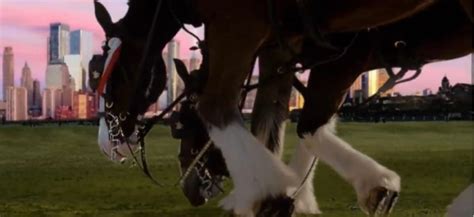 The goose bump inducing 9/11 Clydesdale Super Bowl ad, then and now