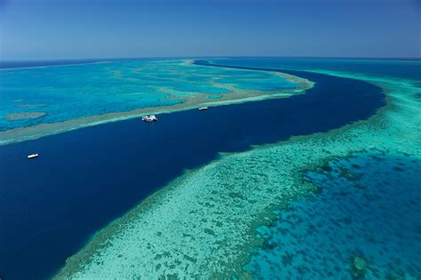 Australia's Great Barrier Reef has experienced four mass bleaching events in the last seven years, like this one in 2017. Scientists warn repeated bleaching makes it tough for corals to recover..