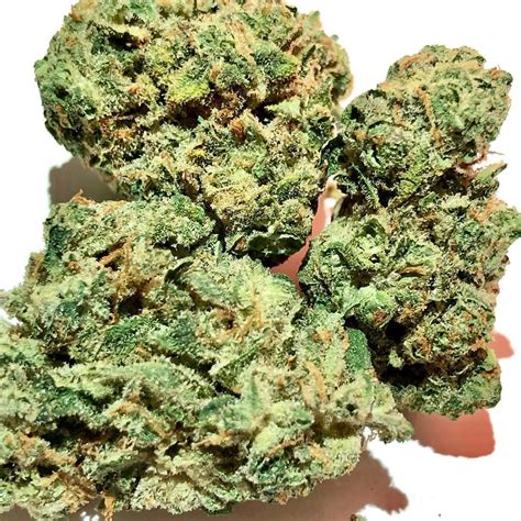 The Great Ha’Tuh is a balanced hybrid that combines Cannatonic and Sour Tsunami with Aspen OG and Skunk-derived High Country Diesel (Jet Fuel). This one strain has a lineage that includes Diesel, Sour Diesel (from both parents), NYC Diesel, and East Coast Sour Diesel, as well as OG Kush from both parents.. 