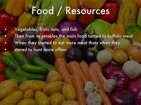 Food - The Native Americans of the Great Plains. Plain Indians collected food in four main ways: Hunting/Fishing. Plain Indians more commonly hunted big game, than they fished. Buffalo were their main source of big game, as it was abundant in their area.. 