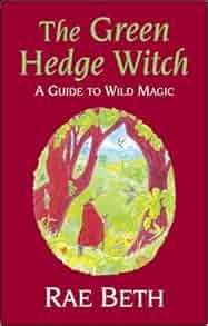 The green hedge witch a guide to wild magic. - Metoda wyznaczania zakresu widoczności dla potrzeb architektury krajobrazu.