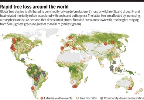 The growing challenge of vegetation change - science.org