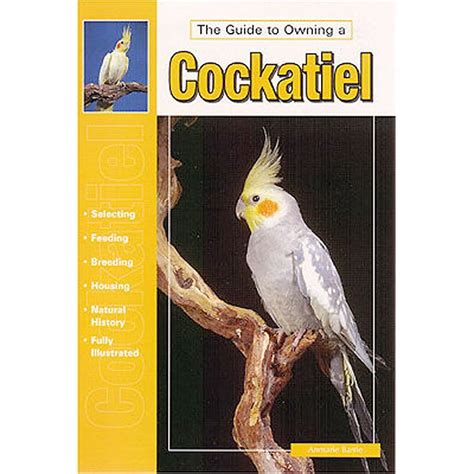 The guide to owning a cockatiel. - Chinese blue porcelain handbook title in chinese.