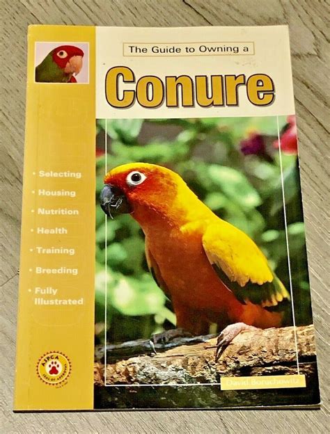 The guide to owning a conure. - Iso 26000 the business guide to the new standard on.