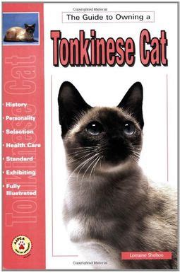 The guide to owning a tonkinese cat. - 2008 hyundai accent factory electrical troubleshooting manual.