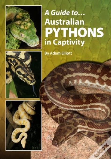 The guide to owning an australian python the guide to owning series. - Cagiva gran canyon digital workshop repair manual 1998 on.