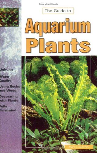 The guide to owning aquarium plants by mary sweeney. - Die ultimative anleitung, um sex als komplette ressource anzuziehen.