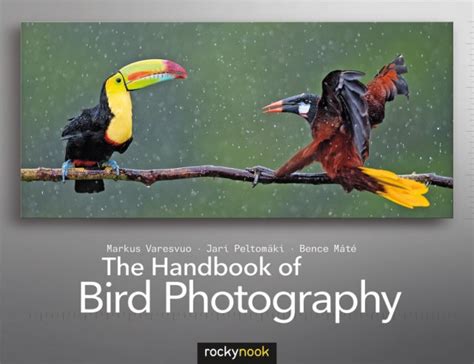 The handbook of bird photography 1st edition. - Deforestación en república dominicana y sus consecuencias jurídicas.