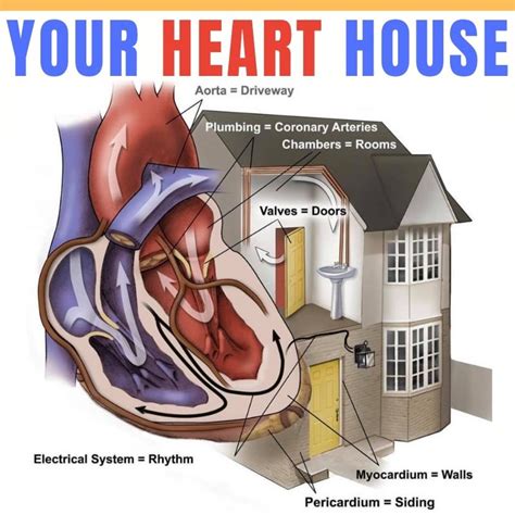 The heart house. Things To Know About The heart house. 