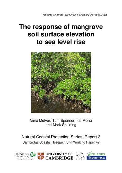 The history of surface-elevation paradigms in mangrove biogeomorphology …