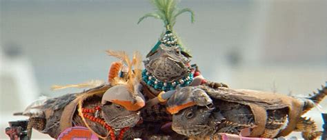 The holy mountain toads. &rdquo; In the Hebrew Scriptures, the word most frequen...