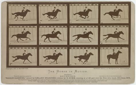 The horse in motion (Eadweard Muybridge) 1878 …