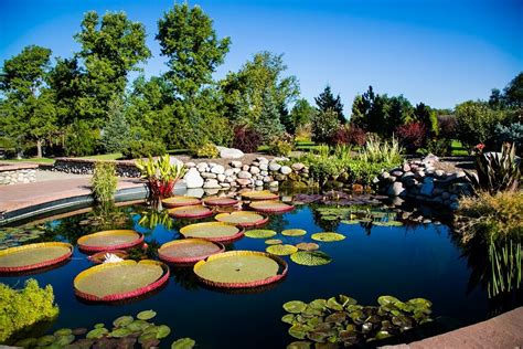The hudson gardens. “The South Platte River runs directly behind the gardens for additional walking, jogging or bike riding. ” in 3 reviews “ Tucked away in Littleton, the Hudson Gardens are a beautiful, well maintained free botanic gardens open to the public. ” in 2 reviews 