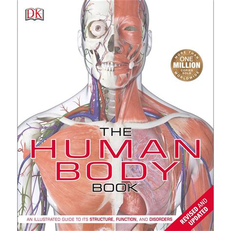 The human body book an illustrated guide to its structure function and disorders. - Audio power amplifier design handbook audio power amplifier design handbook.
