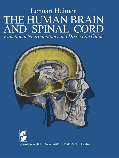 The human brain and spinal cord functional neuroanatomy and dissection guide author lennart heimer published. - Aprilia rsv1000r rsv 1000 r factory workshop service manual.
