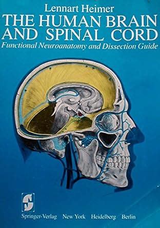 The human brain and spinal cord functional neuroanatomy and dissection guide by lennart heimer 1983 01 01. - Futhark un manual de magia rúnica.