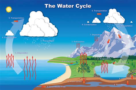 The water, or hydrologic, cycle describes the pilgrimage of water as water molecules make their way from the Earth’s surface to the atmosphere and back again, in some cases to below the surface. This gigantic system, powered by energy from the Sun, is a continuous exchange of moisture between the oceans, the atmosphere, and the land. 