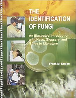 The identification of fungi an illustrated introduction with keys glossary and guide to literature. - Überzeitliche einmaligkeit des heils im heute.