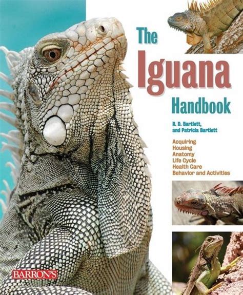 The iguana handbook by patricia bartlett. - 1993 oldsmobile cutlass supreme sl manual.