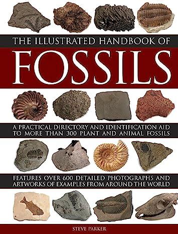 The illustrated handbook of fossils a practical directory and identification aid to more than 300 plant and animal fossils. - Continental tmd13 tmd20 tmd27 diesel engine tmd series operator workshop service repair manual 1 download.