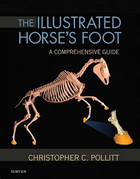 The illustrated horse s foot a comprehensive guide. - La financiacion de la proteccion social (coleccion seguridad social).