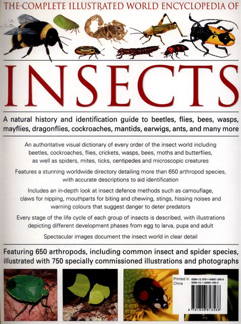 The illustrated world encyclopedia of insects a natural history and identification guide to beetle. - Cisco qos prüfungszertifizierungshandbuch ip telephony self study 2nd edition.