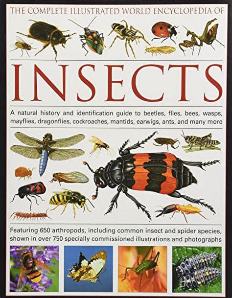 The illustrated world encyclopedia of insects a natural history and identification guide to beetles flies bees. - Fiat allis fd 14 c parts manual.