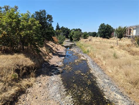 The impact of drying waterways on Northern California