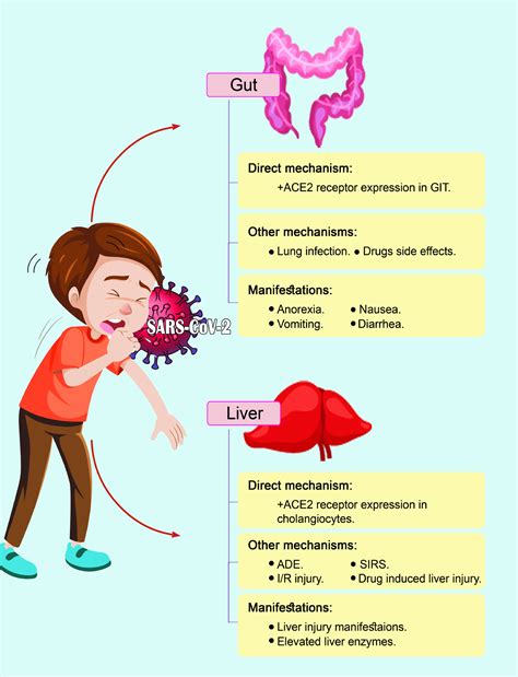 The impact of the COVID-19 pandemic on gastrointestinal