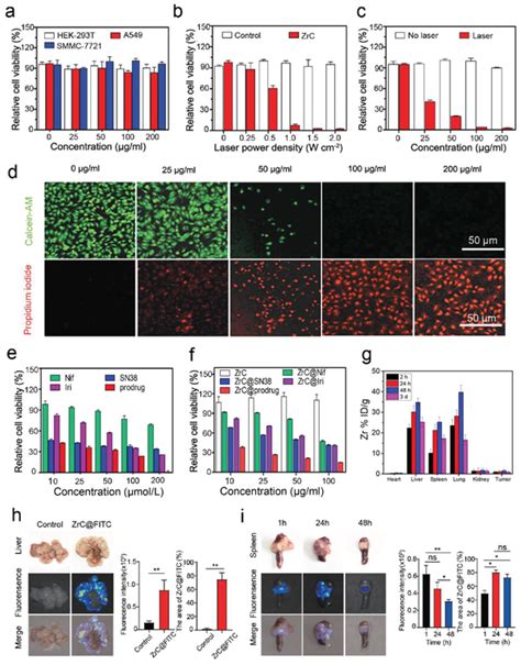 The in vitro biocompatibility performance of a 25 - ScienceDirect