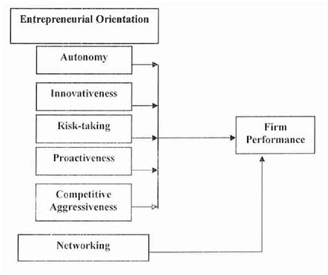 The influence of network effects on SME performance