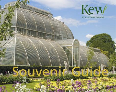 The kew souvenir guide fourth edition revised. - México y su interacción con el sistema político estadounidense.