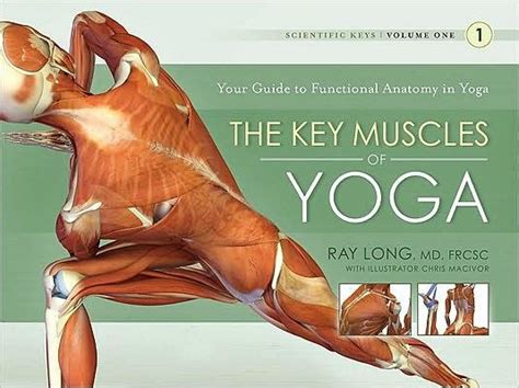 The key muscles of yoga your guide to functional anatomy in yoga. - Canon zr60 zr65 zr70 mc service manual repair guide.