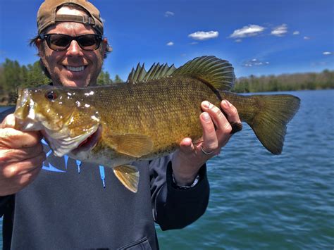 The last smallmouth the definitive smallmouth bass fishing guide. - Iec 61882 ed 1 0 b2001 hazard and operability studies hazop studies application guide.
